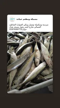 سمك سردينة وسكمبلة - مسمكة ومطعم حمادة