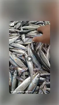 سمك طازج - مسمكة ومطعم حمادة