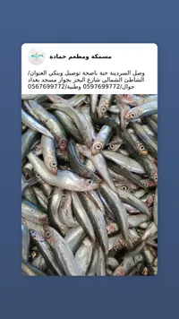 سمك سردين طازج - مسمكة ومطعم حمادة