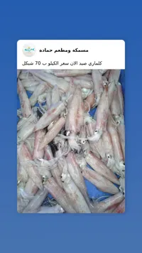 كلماري طازج - مسمكة ومطعم حمادة - سوق غزة