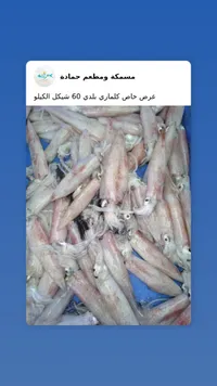 كلماري بلدي طازج - مسمكة ومطعم حمادة - سوق غزة