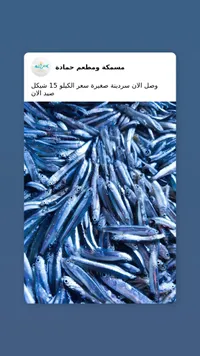 سمك سردين طازج - مسمكة ومطعم حمادة - سوق غزة