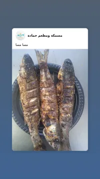 سمك مشوي - مسمكة ومطعم حمادة