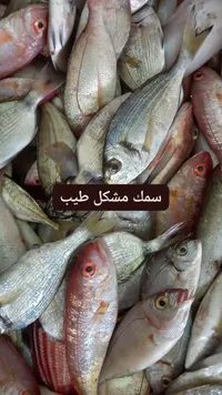 سمك مشكل طازج