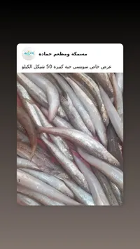 سمك سويسي طازج - مسمكة ومطعم حمادة - سوق غزة