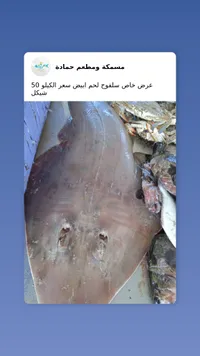 سمك سلفوح لحم أبيض - مسمكة ومطعم حمادة - سوق غزة