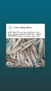 كلماري مع حباري طازج - مسمكة ومطعم حمادة - سوق غزة
