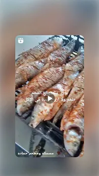 سمك بوري مشوي على الفحم - مسمكة ومطعم حمادة