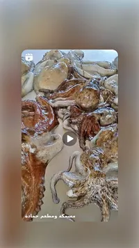 أخطبوط طازج - مسمكة ومطعم حمادة - سوق غزة