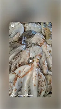 أخطبوط طازج - مسمكة ومطعم حمادة - سوق غزة