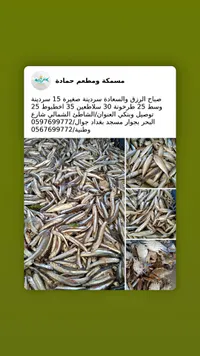 سمك سردين صغير - مسمكة ومطعم حمادة - سوق غزة