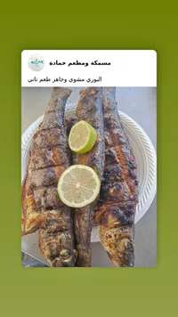 سمك بوري مشوي - مسمكة ومطعم حمادة