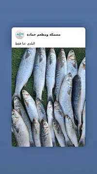 سمك بلدي - مسكة ومطعم حمادة