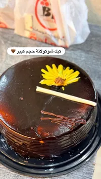 كيك شوكولاتة - حجم كبير