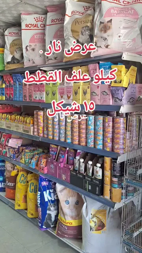 طعام القطط - رويال كانين (Royal Canin) - مواشي وأغنام - سوق غزة
