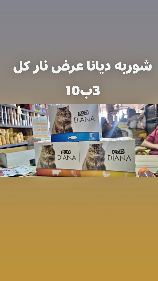 طعام قطط ديانا (Eco Diana) - مواشي وأغنام - سوق غزة