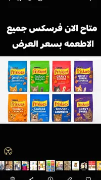 طعام القطط الجاف - فريسكس (Friskies)