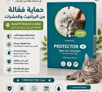 بروتكتور 80 سبوت اون سوليوشن للقطط (PROTECTOR)