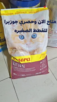طعام قطط صغيرة - كوسيرا (Coserra)