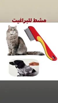 مشط للبراغيث