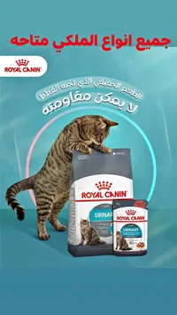 رويال كانين - يوريناري كير للقطط (Royal Canin)