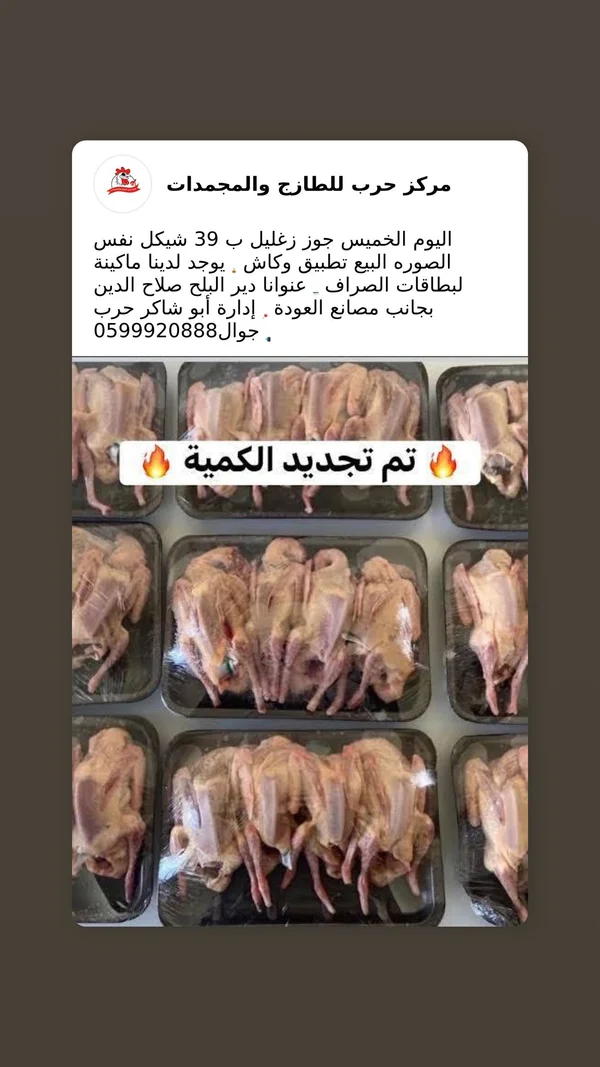 جوز زغاليل - حرب للطاج واللحوم المجمدة - مواد غذائية وبقالة - سوق غزة