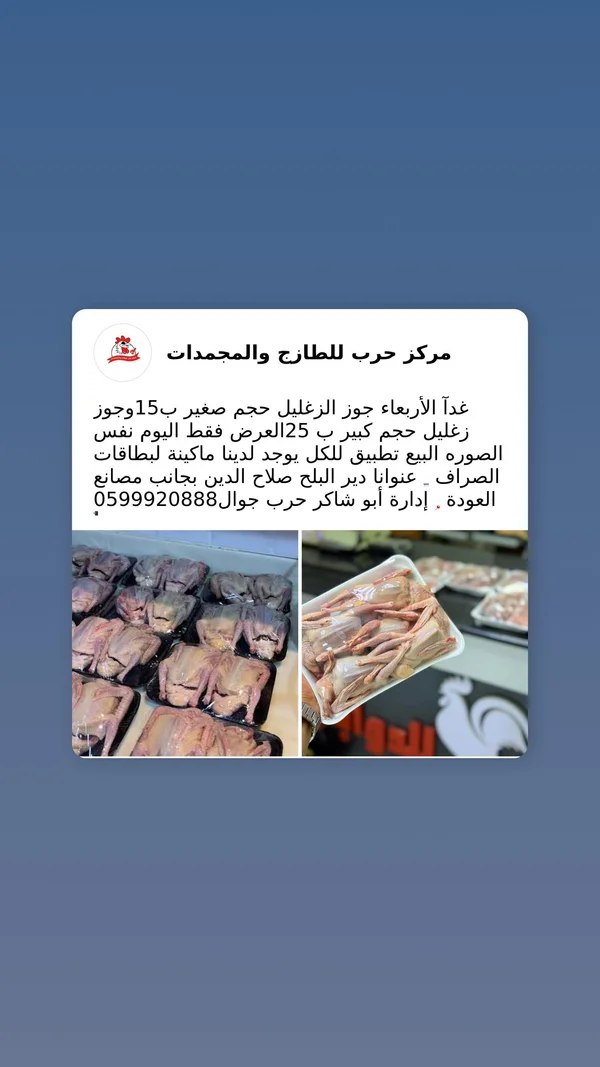 جوز زغاليل طازج - مركز حرب - مواد غذائية وبقالة - سوق غزة