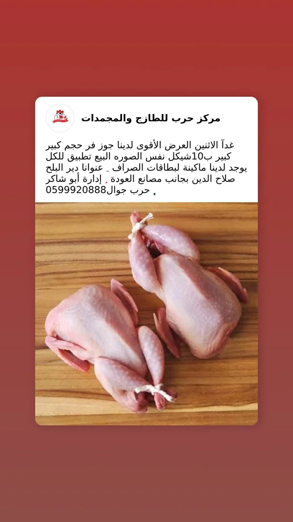 جوز طيور سمان طازج - مركز حرب - مواد غذائية وبقالة - سوق غزة