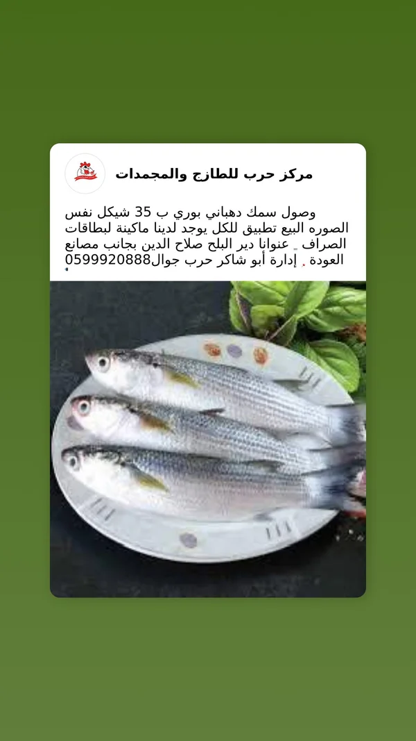 سمك بوري دهباني - مركز حرب للطازج والمجمدات - مواد غذائية وبقالة - سوق غزة