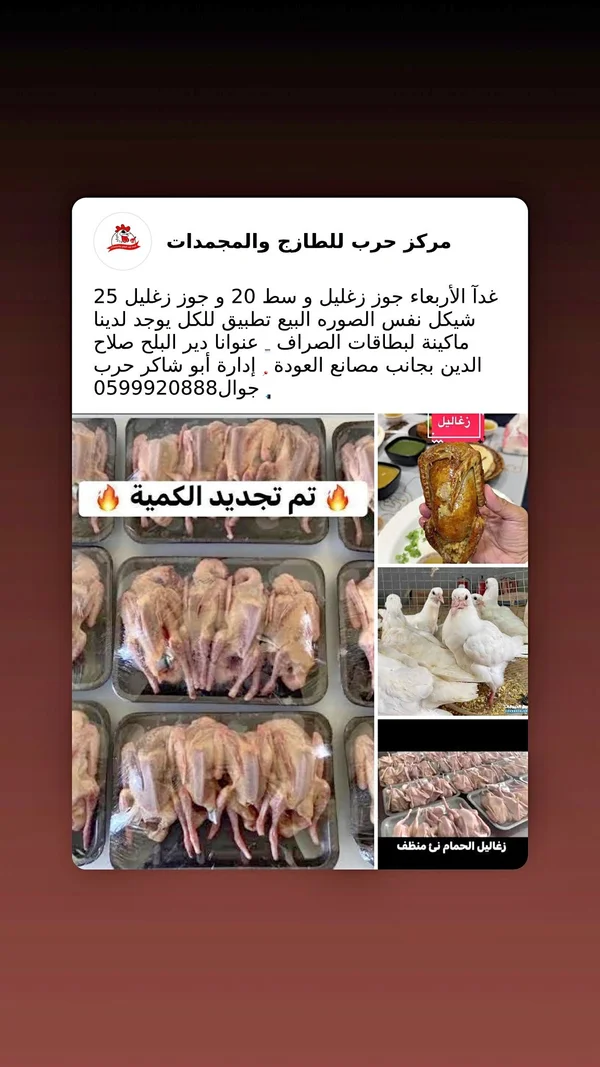 زغاليل حمام منظفة - مركز حرب - مواد غذائية وبقالة - سوق غزة