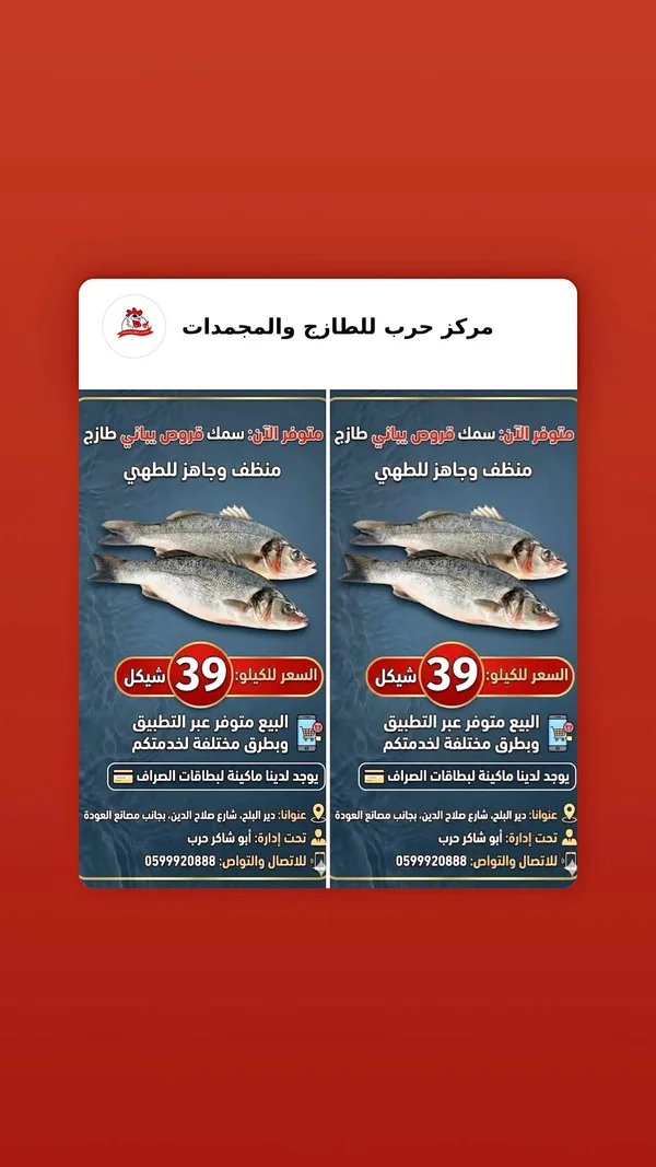 سمك قاروص ياباني طازج - مركز حرب - مواد غذائية وبقالة - سوق غزة