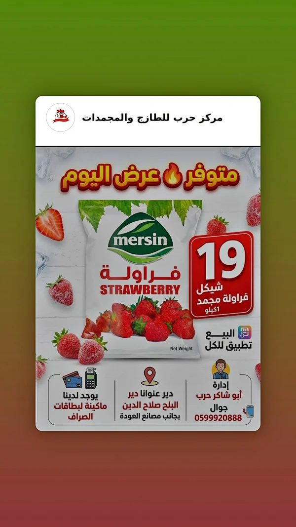 فراولة مجمدة - مرسين (Mersin) - مواد غذائية وبقالة - سوق غزة
