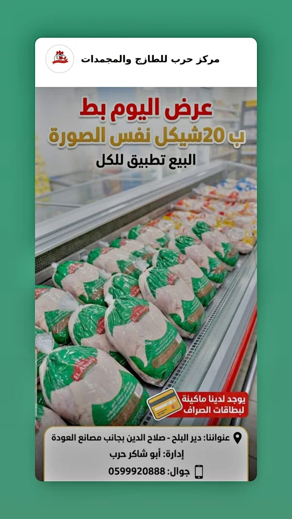 بط طازج - العودة (El Anwis) - مواد غذائية وبقالة - سوق غزة