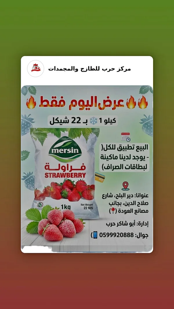 فراولة مجمدة - مرسين (Mersin) - مواد غذائية وبقالة - سوق غزة