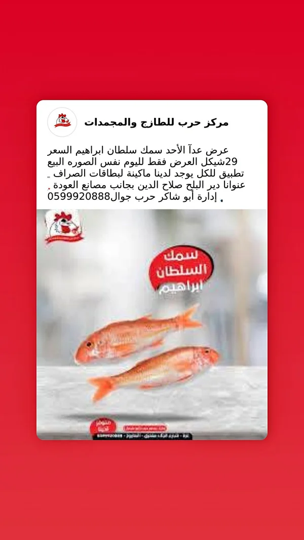 سمك سلطان إبراهيم - مركز حرب - مواد غذائية وبقالة - سوق غزة