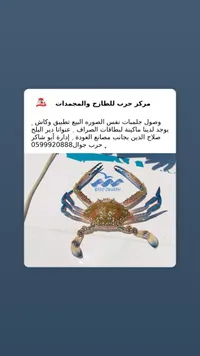 سلطعون أزرق