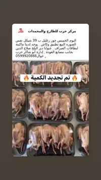 جوز زغاليل - حرب للطاج واللحوم المجمدة - سوق غزة