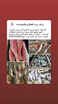 تشكيلة أسماك طازجة - مركز حرب