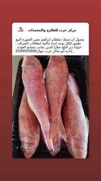 سمك سلطان إبراهيم - مركز حرب للطازج والمجمدات
