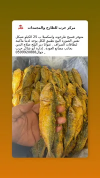 فسيخ طرخونة واسكمبلا - مركز حرب - سوق غزة