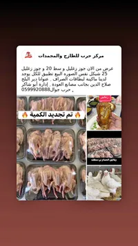 زغاليل حمام طازجة ومنظفة - مركز حرب - سوق غزة