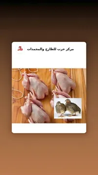 سمان طازج - مركز حرب