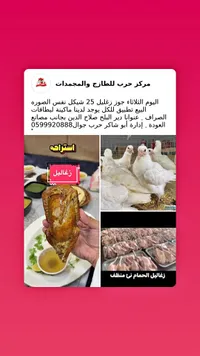 زغاليل حمام طازجة - مركز حرب - سوق غزة