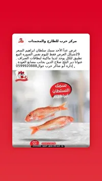 سمك سلطان إبراهيم - مركز حرب - سوق غزة