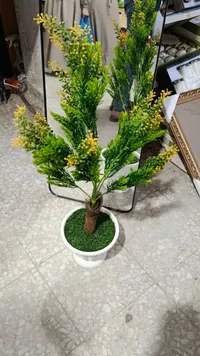 قوار زهر صناعي - نبات زينة