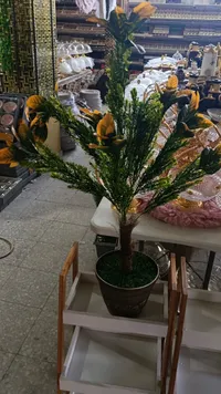 حامل نبات خشبي بثلاث طبقات