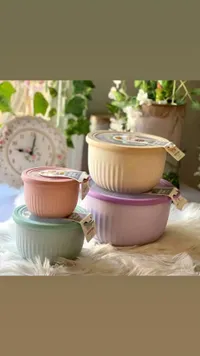 طقم أوعية حفظ الطعام محكمة الإغلاق - آيرتايت بول (Airtight Bowl)