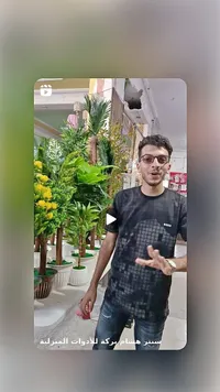 نباتات زينة اصطناعية