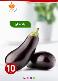 باذنجان - أرو دلال