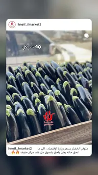 باتنجان طازج - حنيف ماركت